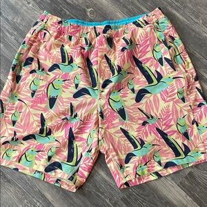 Birddogs Pink and Green Toucan Swim Trunks